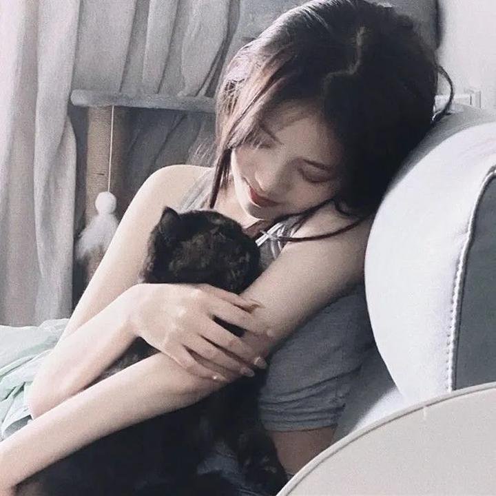 熊猫的大冒险